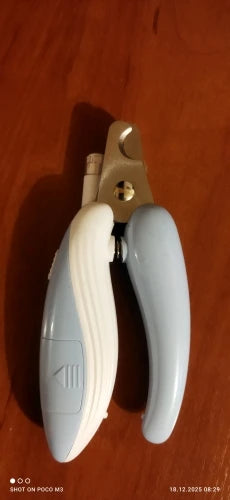 Ace90f50355d140c2b95e2b88e545b13ci.jpg