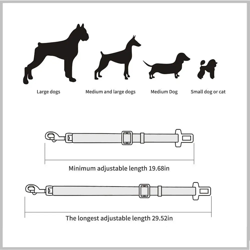 Midello dog safety harness clipped to a dog’s collar or harness for car travel