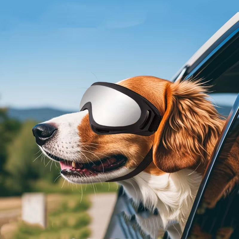 Chic Pup Dog Sunglasses