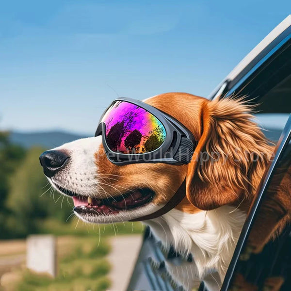Dog-Sunglasses-Soft-Adjustable-UV-Protection-Pet-Goggles-Easy-Wear-Puppy-Glasses-For-Small-Medium-Breed.jpg