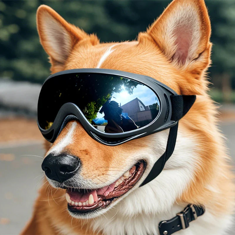 Midello Chic Pup dog sunglasses with soft adjustable frames — UV protection for small and medium breeds