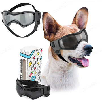 Midello Chic Pup UV dog goggles with adjustable strap — outdoor eye protection for dogs