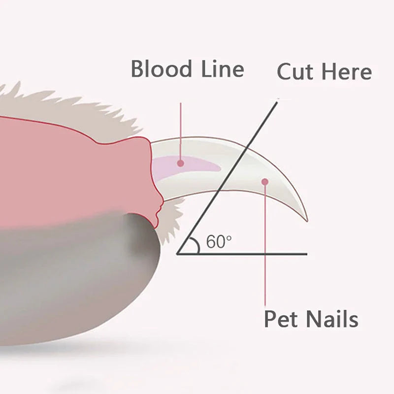 Midello professional dog grooming nail trimmer with built-in nail file