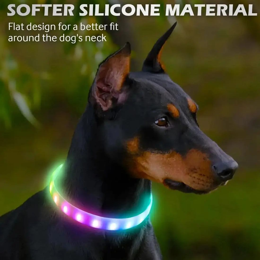Midello ShimmerSafe USB rechargeable LED dog collar — glowing safety collar for night walks