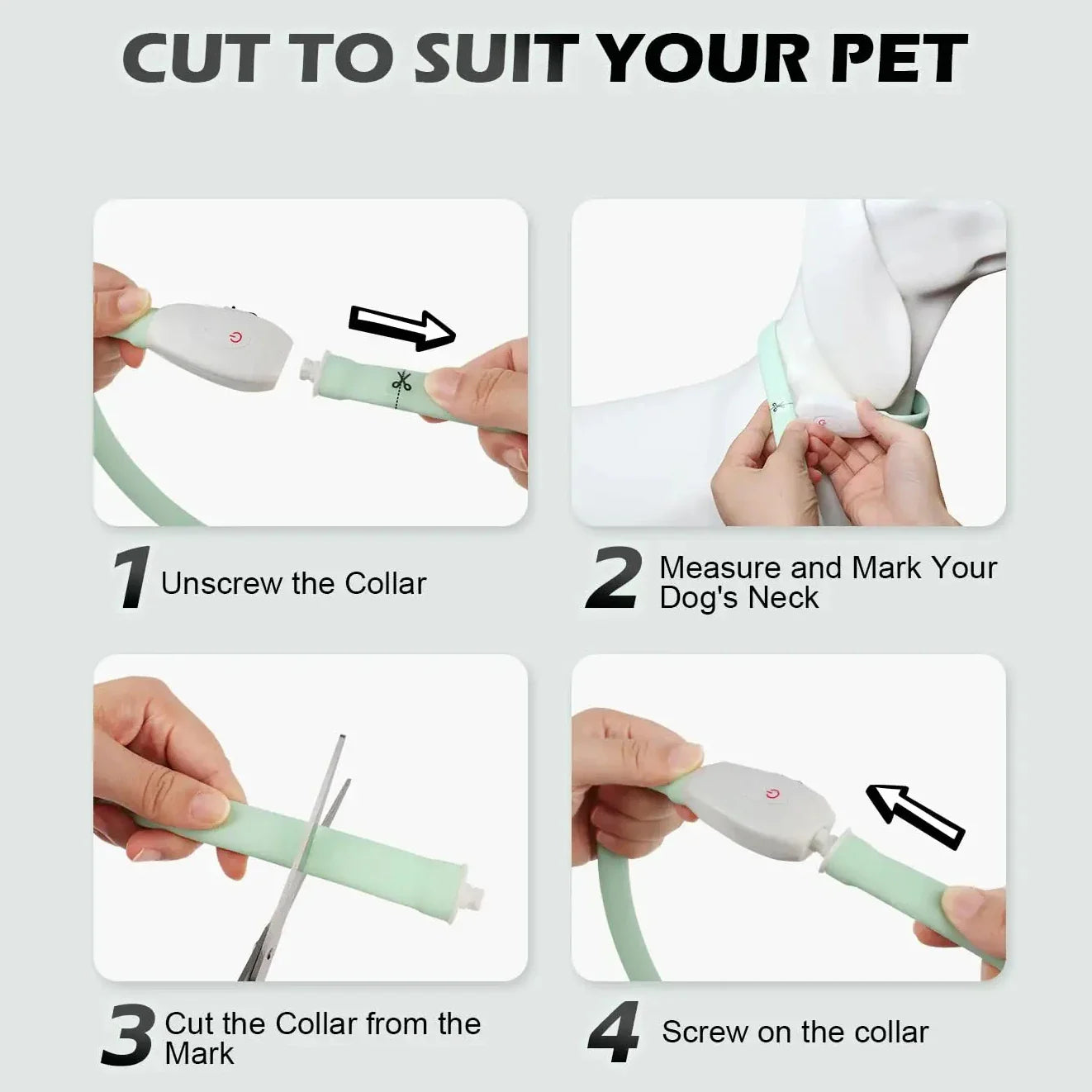 Midello glowing dog collar in use — large dog visible at night thanks to LED visibility ring